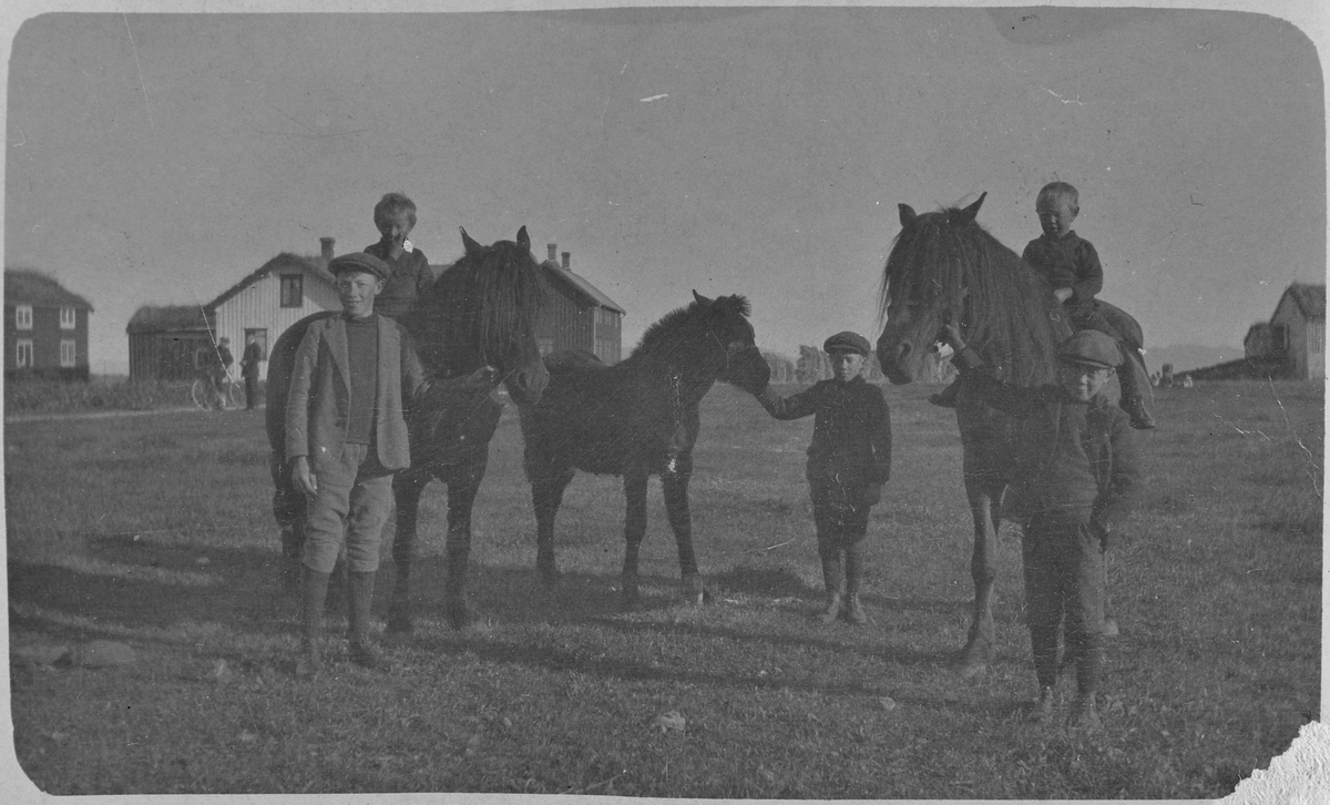 Barn og hester foran gården til John Solem