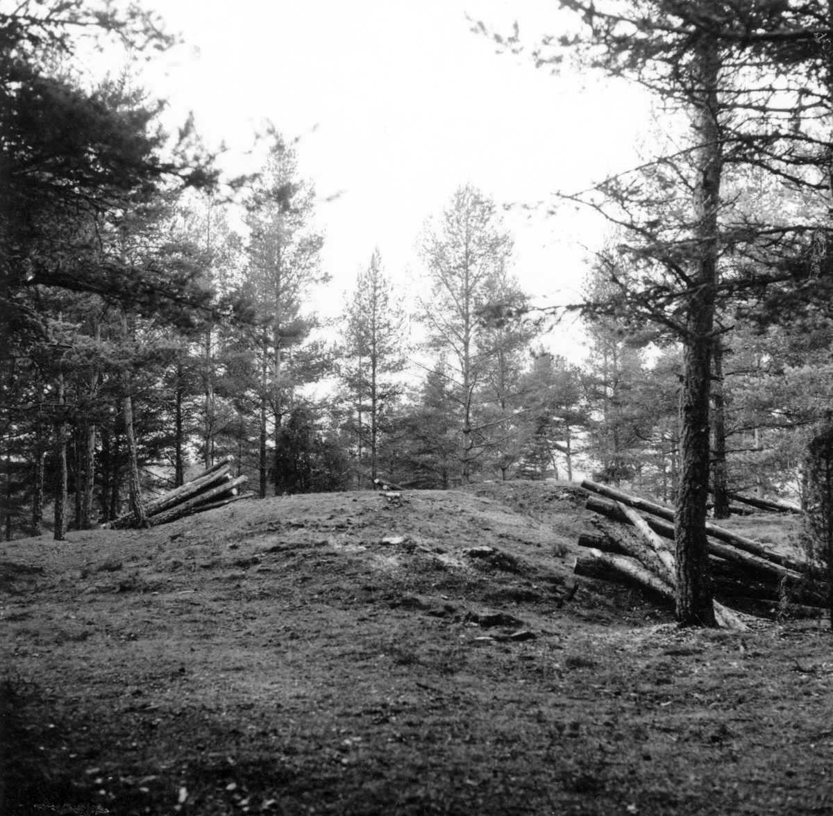 Ön,
Gravfält nr 303 efter markvårdsarbeten hösten 1967,
Kulturminnesvård.