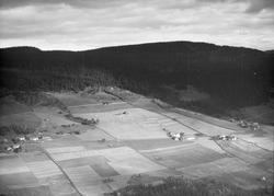 Tretten Øverbygd, Øyer, Nord-Tretten, Fra v: Glomstad, Johns