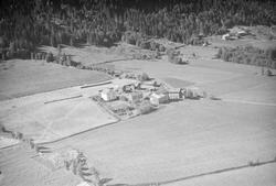 Trinerud gård, Østre Gausdal, åkrer, slåttemark, hesjer