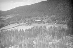 Gardsbruket Nygaard i Vestre Gausdal. Bygninger. Skog. Jorde