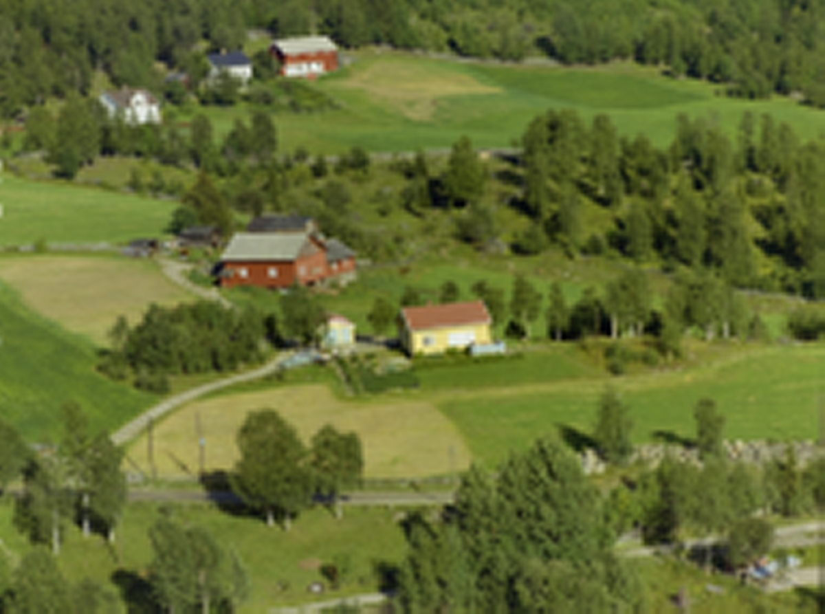 Skjerve, (samt Skjervesvea og Sørhagen) Østre Gausdal. I forgrunnen ...