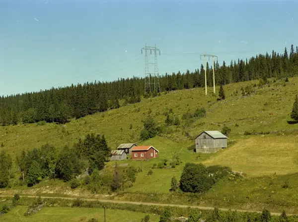 Kulturlandskap. Småbruk. Litt dyrka mark, mye utmark.