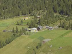 Nørstenget. Småbruk. Lysegult en og en halvetasjes våningshu