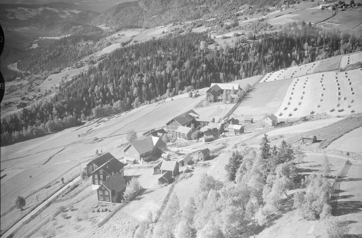 Skåe gård, Øyer, 1952, dalføre, li, oversiktsbilde, flere gårder, jordbruk, slåttonn, hesjing, kornstaur, blandingsskog