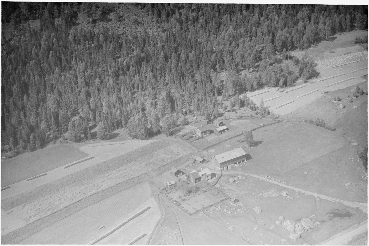 Svarverud gård, Fåberg, Lillehammer, 14.08.1953, gårdsdrift, hagebruk, blandingsskog