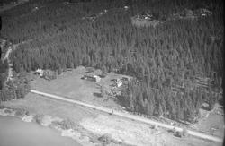 Ukjent gård, Øyer, 1953, oversiktsbilde, flere gårder, jordb