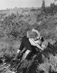 Tørsten slukkes i fjellbekken ved Bjørnholet