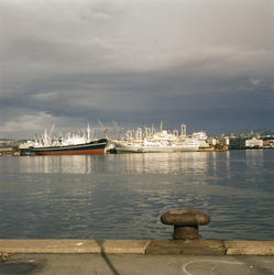 Havna - Oslo. sept. 61