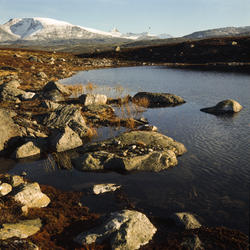 Lite Fjellvann i traktene v. Høydalen - Jotunheimen