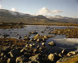 Fjellandskap.
