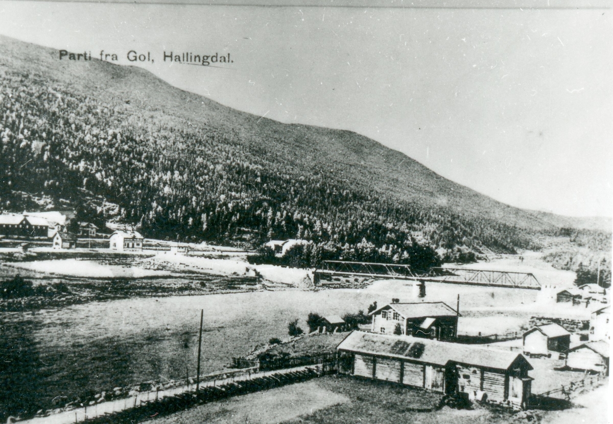 Gol Jernbanestasjon ca.1920