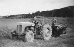 Skjæring av åker med gråtass og selvbinder i Søgarn, Gauteru