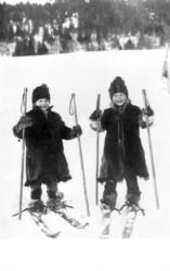 Almetjedåehkie/ gruppe