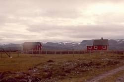 Paul Andersens jordbruk i Selkopp i Kokelv. Bildet er tatt p