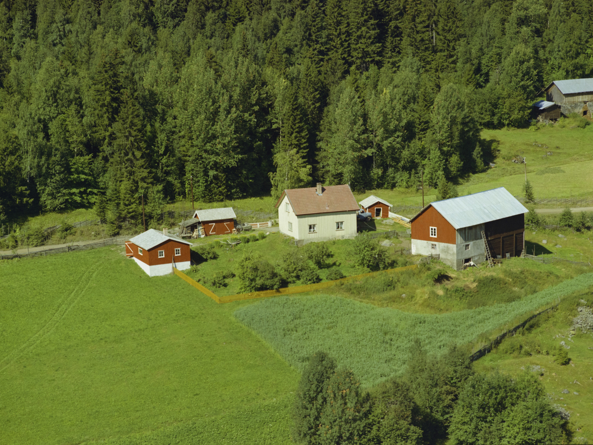Fåberg, småbruket Haugen nedre med bruksnavnet Nerhaugen, kulturlandskap, skog.