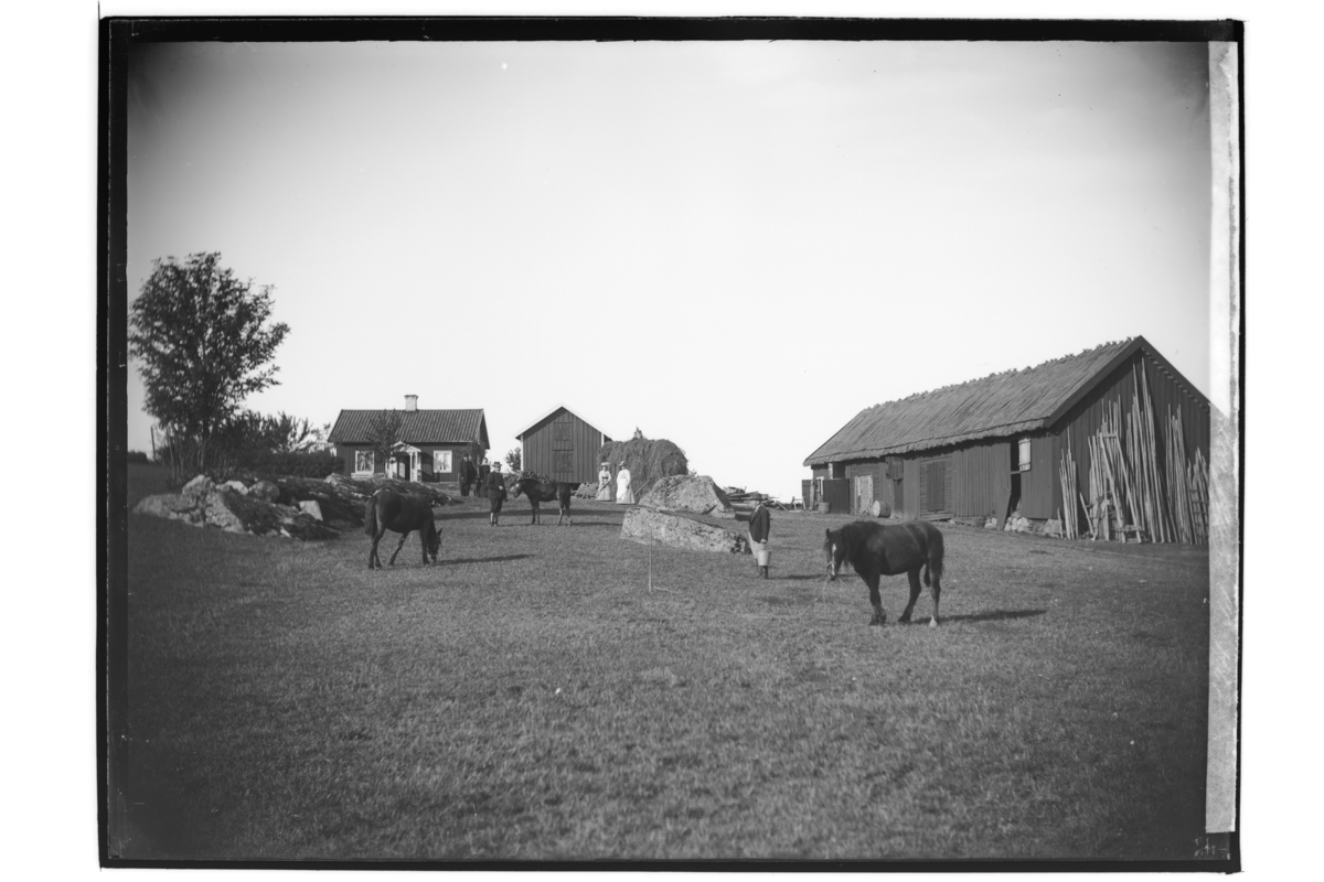Bondgård, bostadshus, två ekonomibyggnader, 5 personer och tre hästar.
Per Andersson.