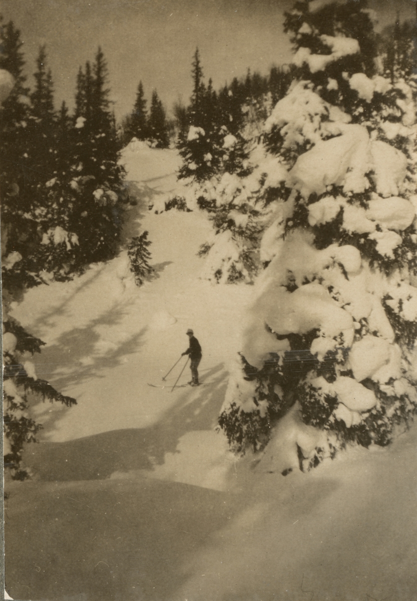 En soldat på skidor på bergssluttning omgiven av snötäckta träd.