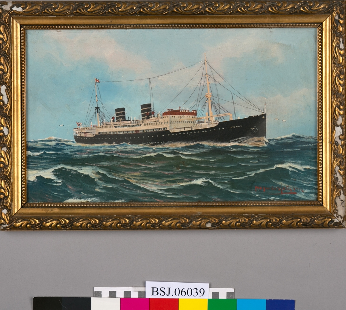 Skipsportrett av MS VENUS på åpent hav. Blå himmel og skyer, bølger med måker. Rederiflagg i bakre mast og norsk flagg i akter.