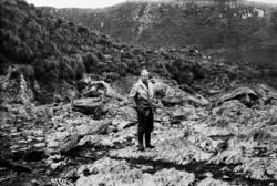 Foto fra Grytviken i Sør-Georgia, og fra en norsk hvalstasjo