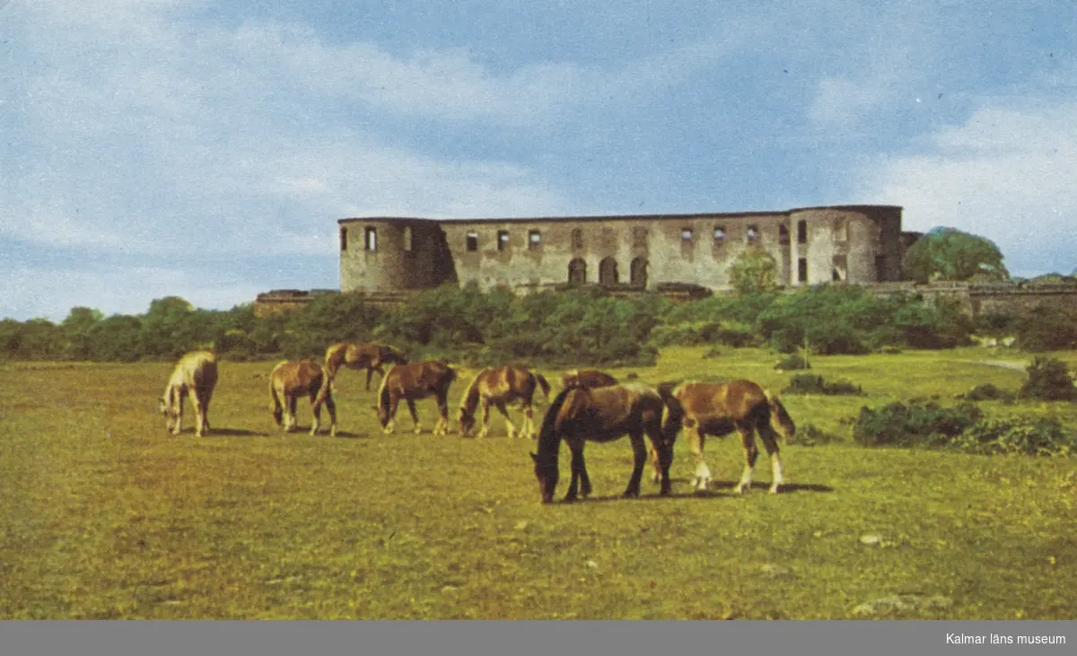 Borgholms slottsruin, med betande hästar på Alvaret i förgrunden.