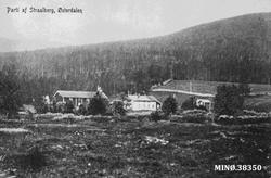 Gardsbruk. Parti af Straalberg, Østerdalen.