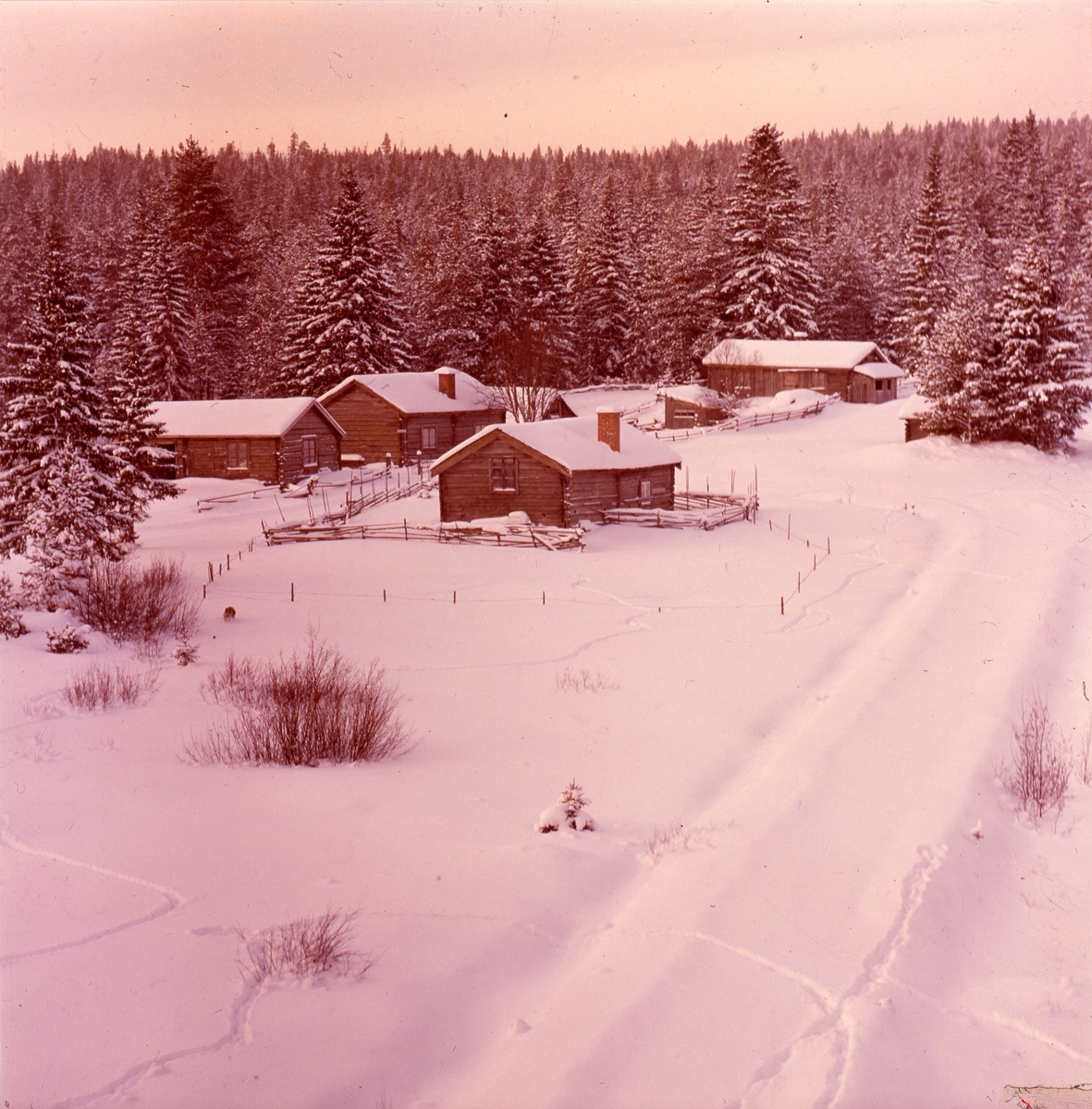 Vinter vid Nyvallen, Järvsö.
