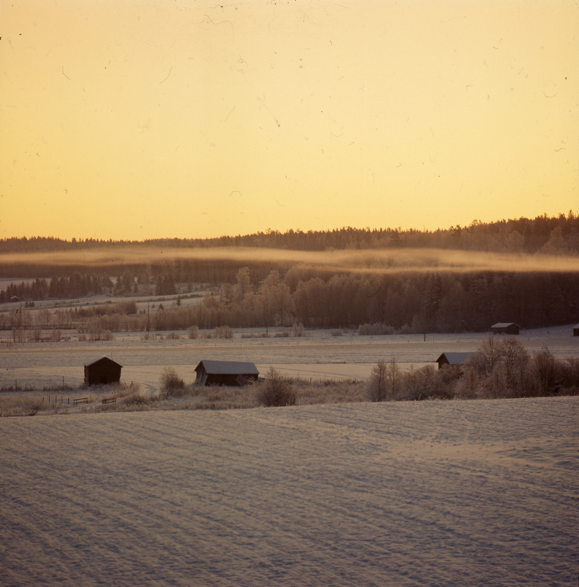 Kall vinterkväll i Rengsjö. Kvällsolen färgar himlen gul och dimstråk ligger över den frostiga marken.