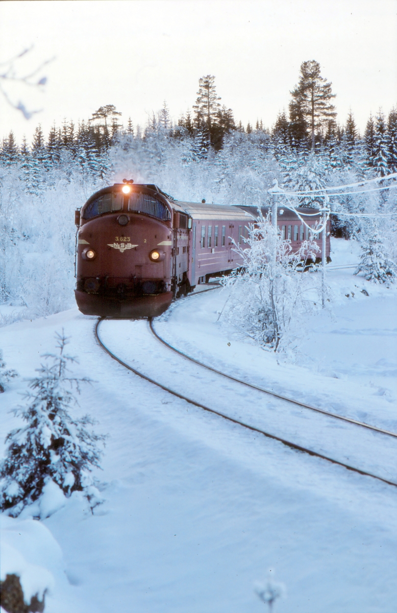 Persontog fra Fagernes til Oslo S under innkjøring til Trevatn stasjon.