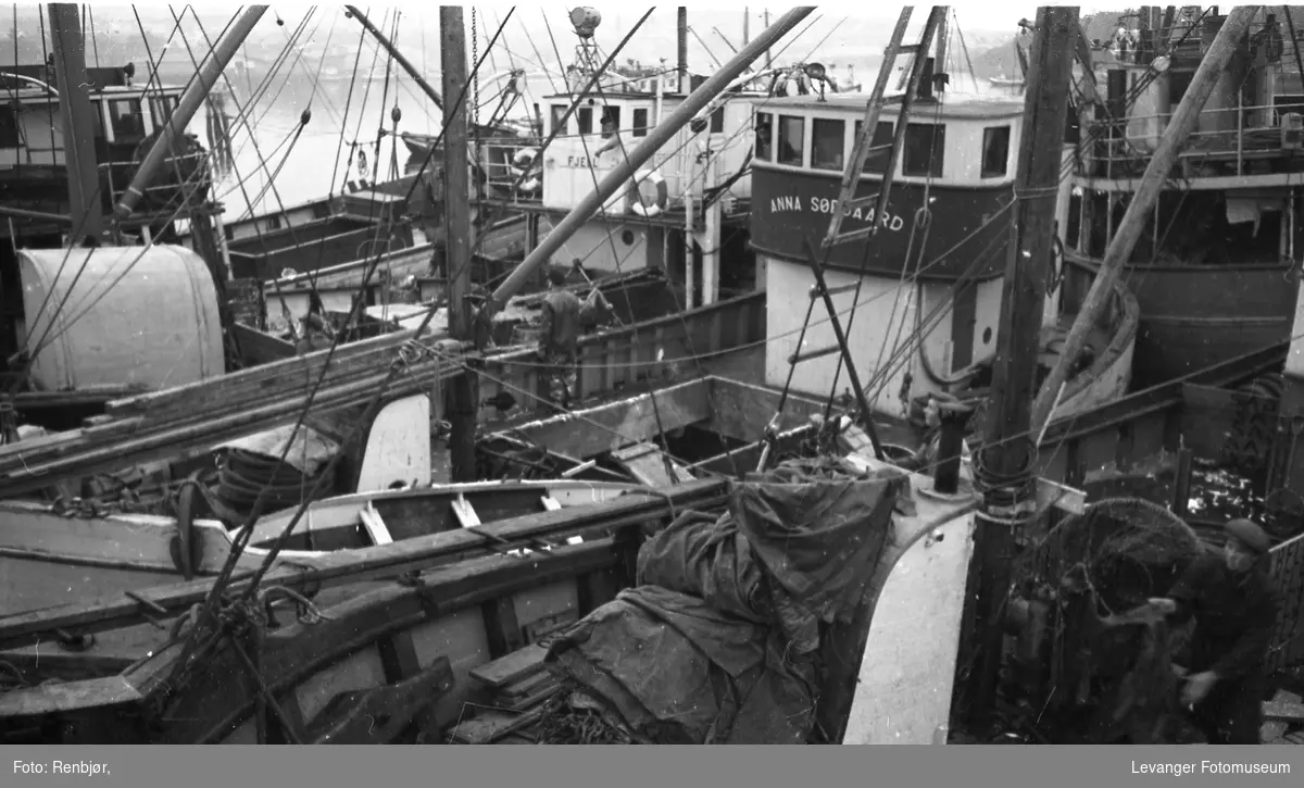 Sildefiskere i Levanger havn.