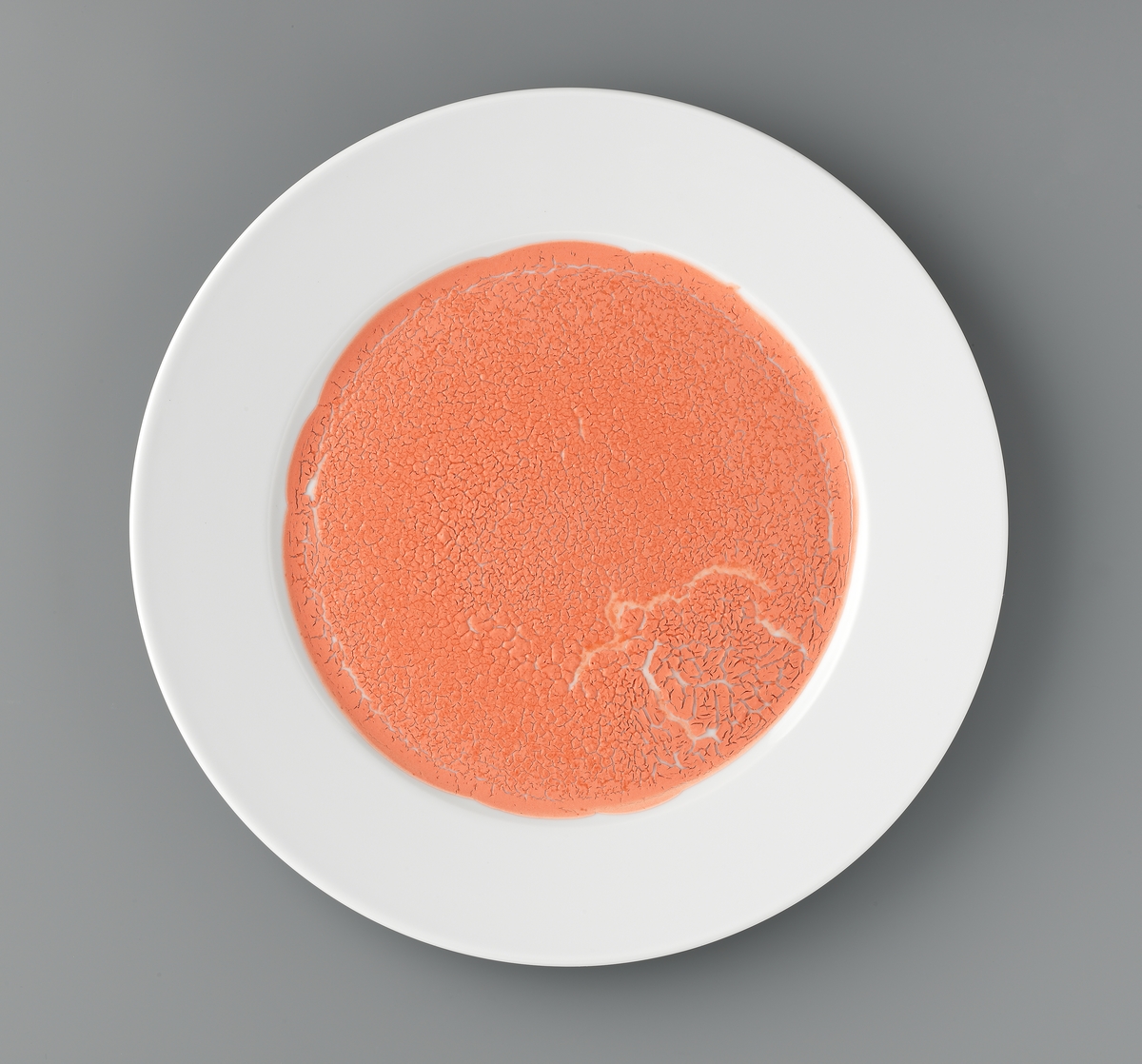 Monokromer [Installasjon]