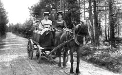Melkekjøring på Iseveien, Skjeberg, ved Kampenes-myra (?). C