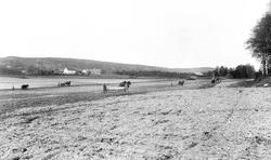 Kalnes  landbruksskole i Tune ved Sarpsborg, ca. 1925. 
Fem