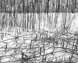 1991-12-09 [Fotografi]