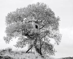 2004-42-10 [Fotografi]