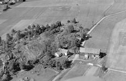 Gården Veberg i Borge, flyfoto 24. juli 1952.