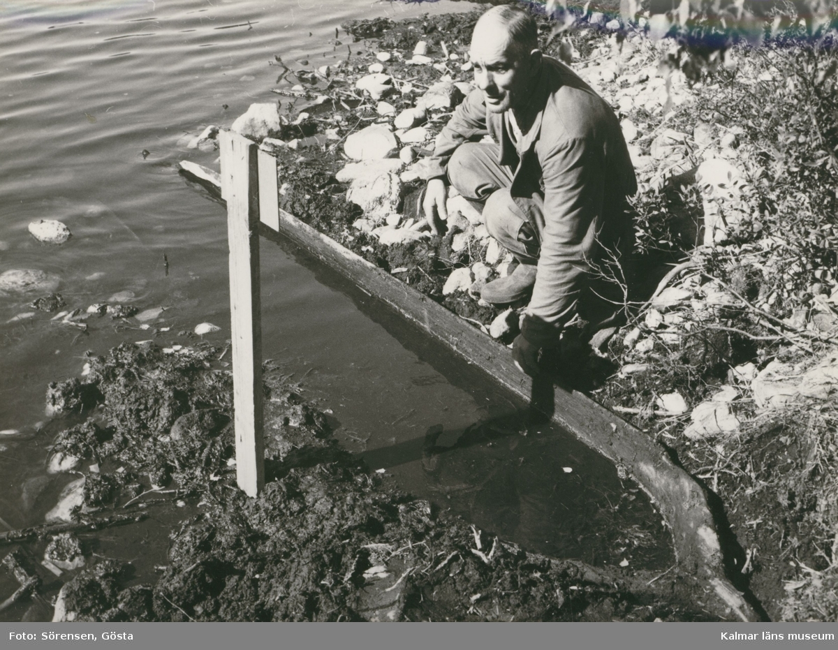 Stockbåt, funnen i Rismåla göl sommaren 1959. Upptagen och förd till kyrkstallarna i Madesjö. Träslag: furu. L. 4 m. Br. 0,6 m.1
