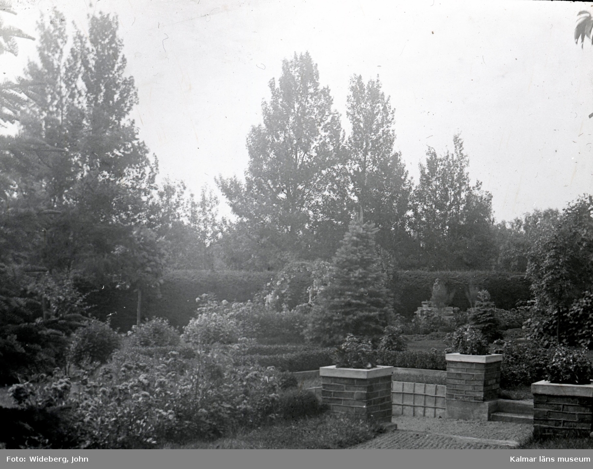 Mittersta delen av Widebergs trädgård.