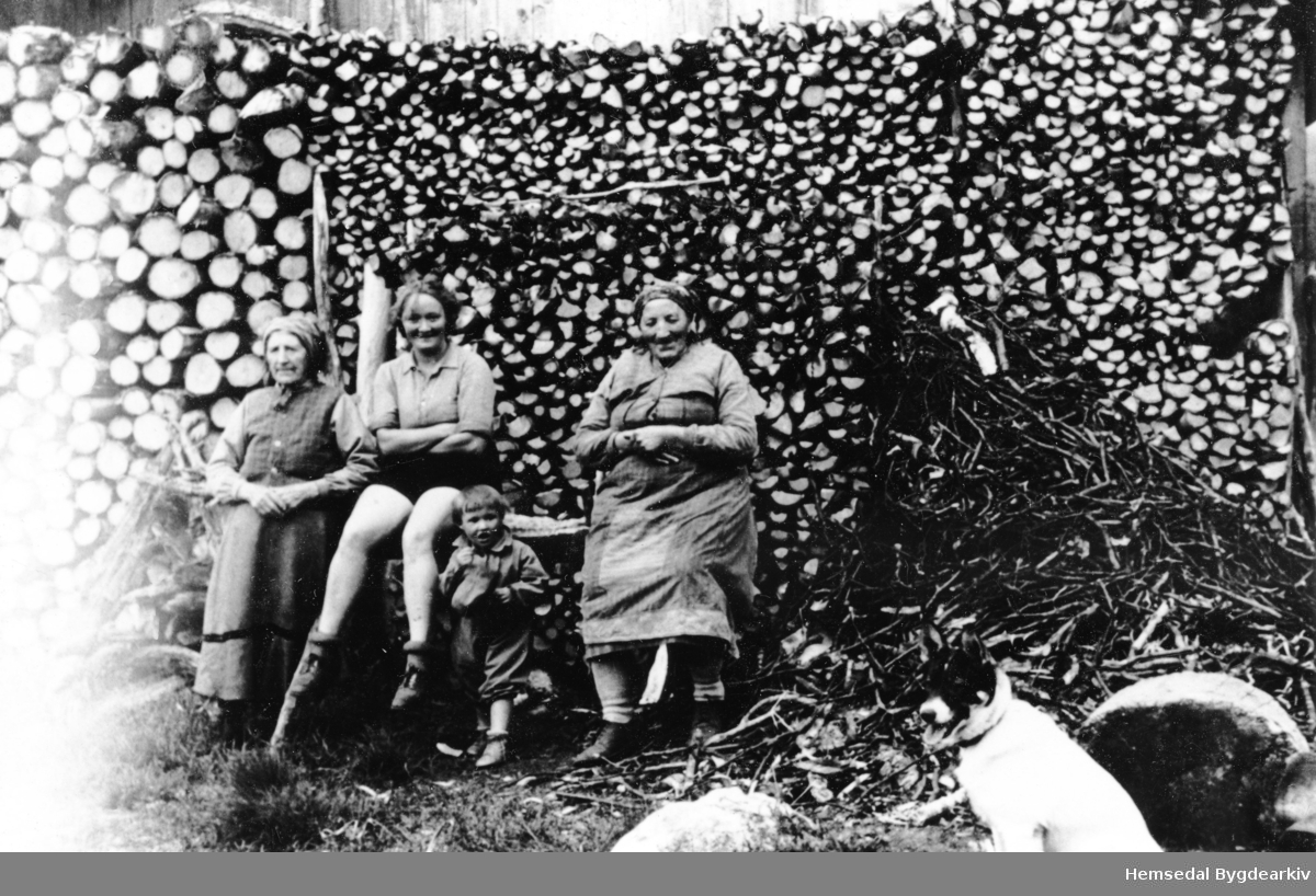Fyre med ved!
Frå venstre: Ingrid Snikkerbrøten, to byungar og Guri Liheim (1873-1960).
Ingrid var sambuar med Knut O. Venås og svigerinna til Guri. Ho budde i ei stugu på andre sida av RV52, like ved Liheim.