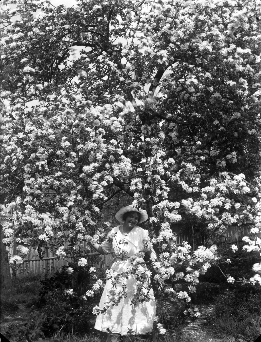 Möjligen Stina Palm, född Nilsson, under blommande fruktträd.