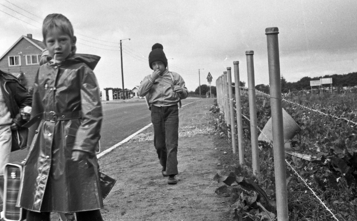 Fem barn på vei hjem fra skolen langs Spanneveien sør for Rossabø skole. Her holder bonden på med å sette opp nytt pigtrådgjerde.