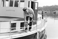 Arve Opsahl, Illustrert