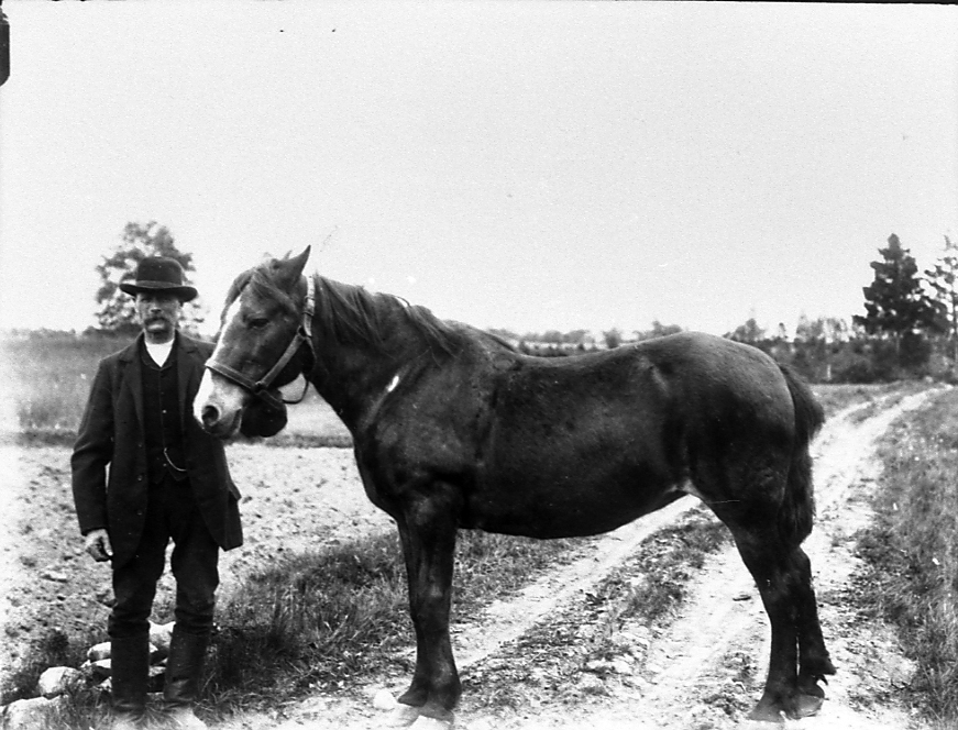 Frans Lidholm, Heden, med sin häst.