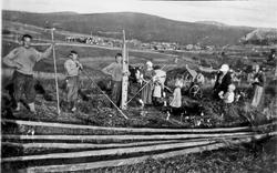 Høyonn, personer, vogn, hest.