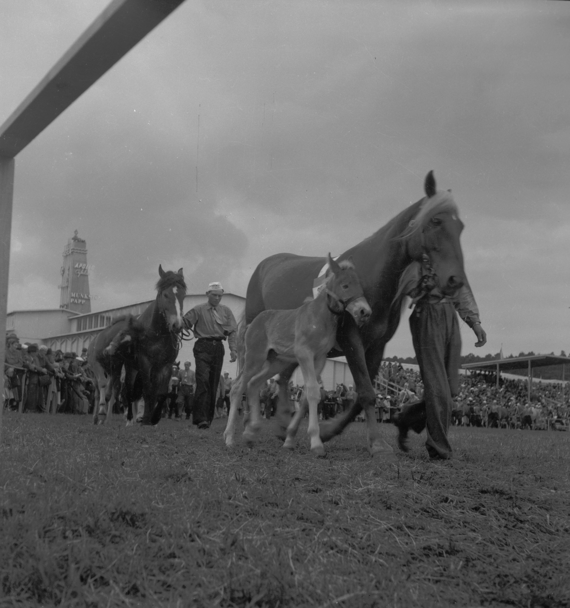Lantbruksmötet. 1946