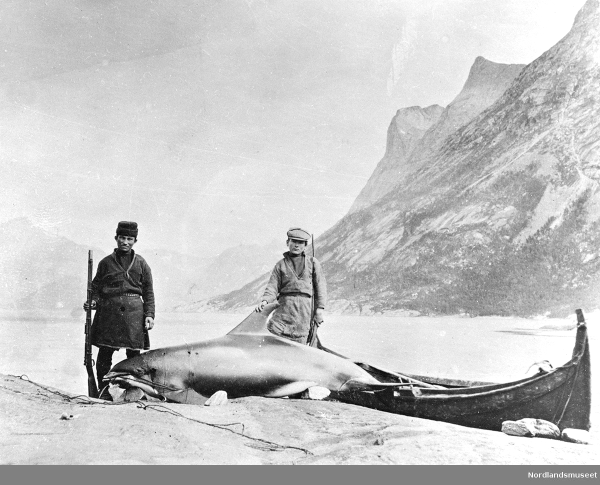 Fra Langnes i Sørfjorden. To samer har skutt en hval. Petter (t.v.) og Keira Nilsen Koljok. De har skutt en springer. De bodde på Langnes, men familien kom fra Tysfjord. NGO K 12-69