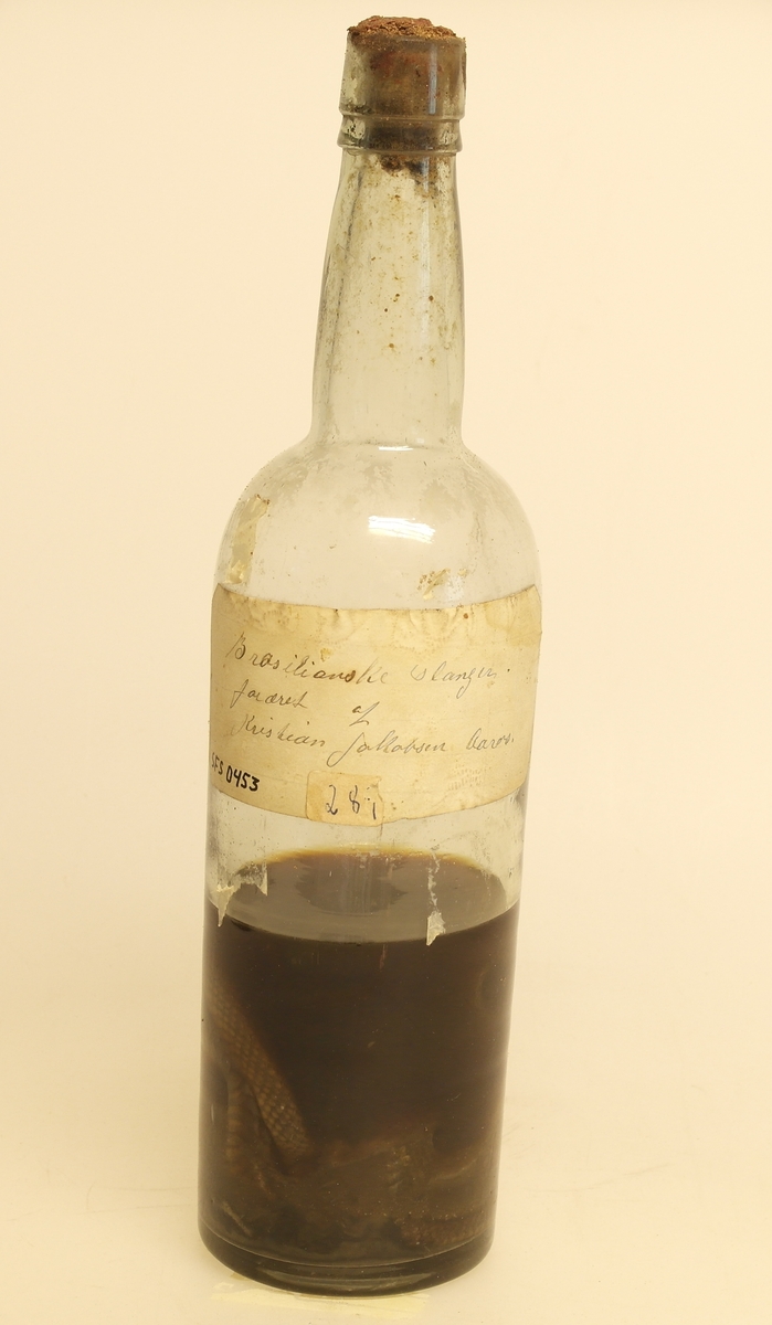 Flaske med 2 slanger som ligger i ei mørk væske. Flaska er korket/forseglet og påsatt en etikett med håndskrevet tekst.