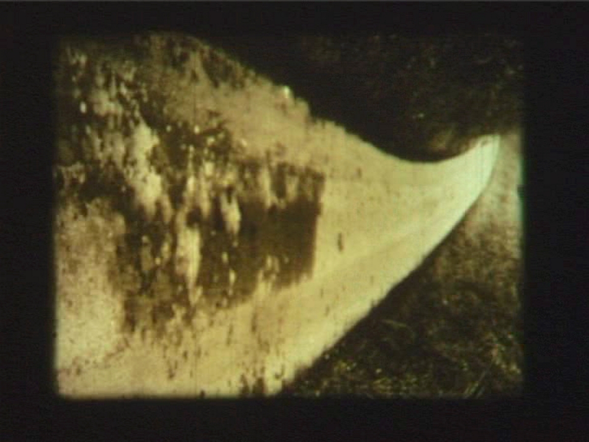 Down the Lane and Back Again [Film]