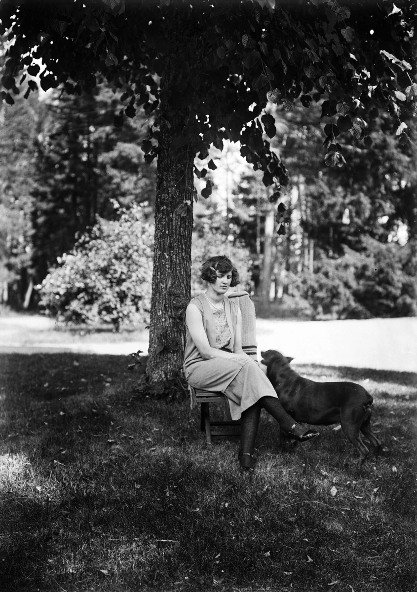 "Alice Vestrin ensam sittande på en stol under linden på gårdsplanen och hunden bredvid", Göksbo, Altuna socken, Uppland 1926