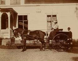 damen tar tømmene. Bilde fra Marie Knudtzon (1879-1966) sin 